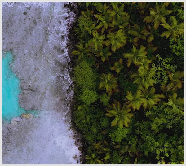 Welcome to Our Store